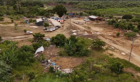 VÍDEO: Operação Aruanã conclui fase de desocupação na Estação Ecológica Samuel