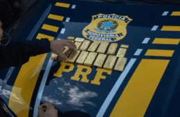 Avião com 54 barras de ouro é interceptado em operação contra garimpo ilegal