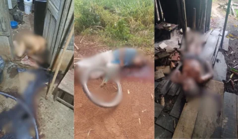 Três idosos são mortos em menos de 24 horas e polícia intensifica investigações em Itapuã do Oeste (RO)