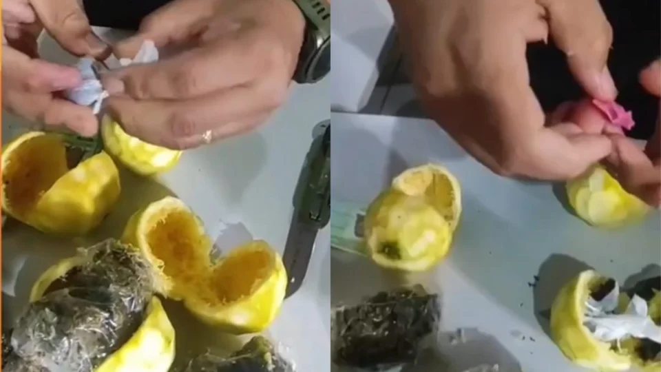 VÍDEO: mulheres são detidas ao tentar levar drogas escondidas em laranjas para presídio no Acre