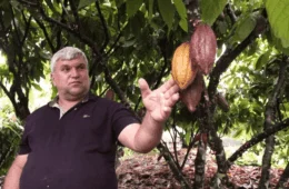 VÍDEO: Produtor de cacau supera desafios e impulsiona a economia no interior de Rondônia