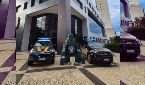 Ação conjunta no Tocantins e em Goiás intercepta mais de uma tonelada de droga