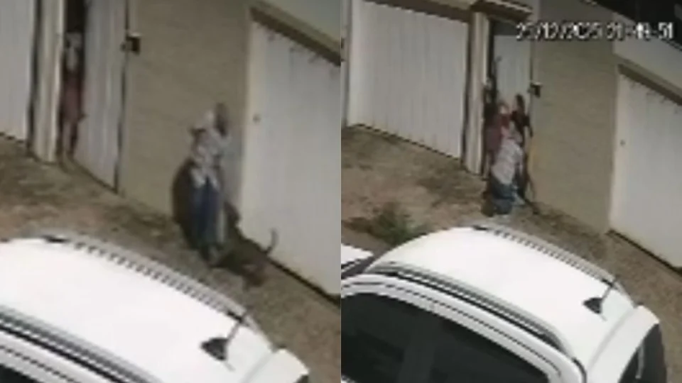 VÍDEO: Idoso de 82 anos fica gravemente ferido após ataque de pitbull