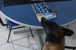 Cadeirante é preso com 29 pacotes de drogas escondidos em meia