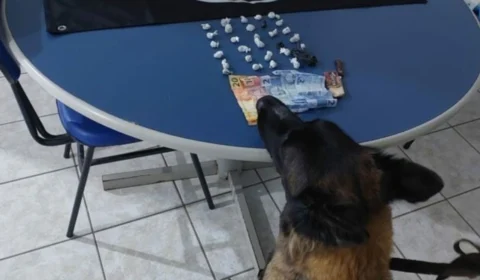 Cadeirante é preso com 29 pacotes de drogas escondidos em meia