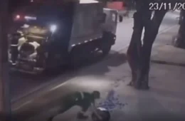 Gari é indiciado por agressão a cachorro em Boa Vista