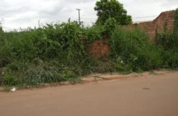 VÍDEO: Mato alto e descarte irregular em terreno abandonado afetam moradores do Três Marias em Porto Velho