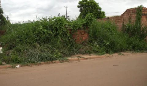 VÍDEO: Mato alto e descarte irregular em terreno abandonado afetam moradores do Três Marias em Porto Velho