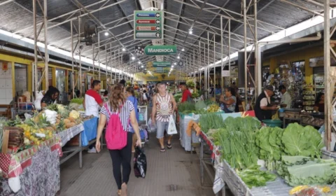 Lei autoriza privatização dos mercados Elias Mansour e São Francisco, em Rio Branco