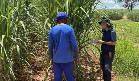 Acre lidera número de resgates por trabalho escravo na Região Norte em 2025