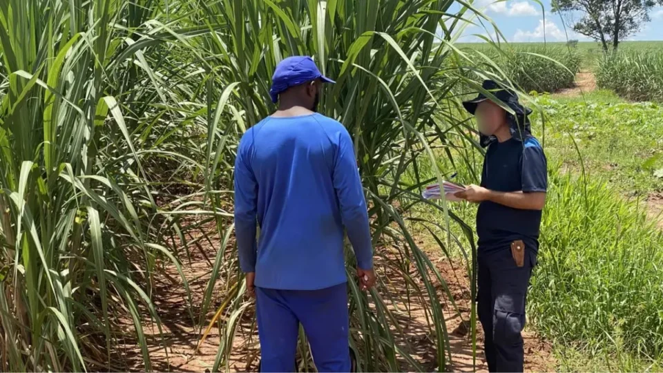 Acre lidera número de resgates por trabalho escravo na Região Norte em 2025