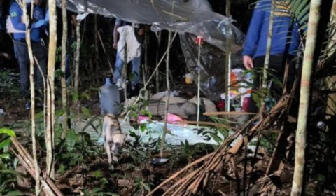 Homem suspeito de matar mulher encontrada em mata da Ufam é linchado