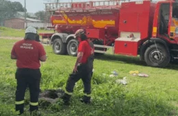 Criança de 3 anos cai em fossa aberta e morre no interior do Amazonas