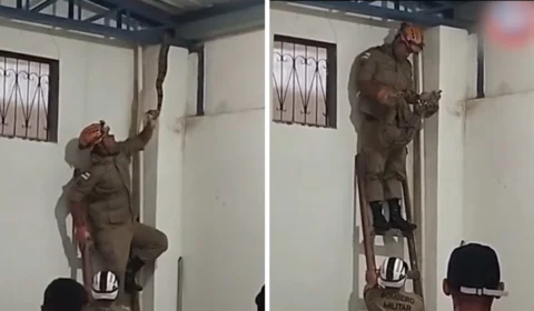 Jiboia é encontrada no telhado de shopping e mobiliza bombeiros em Manacapuru