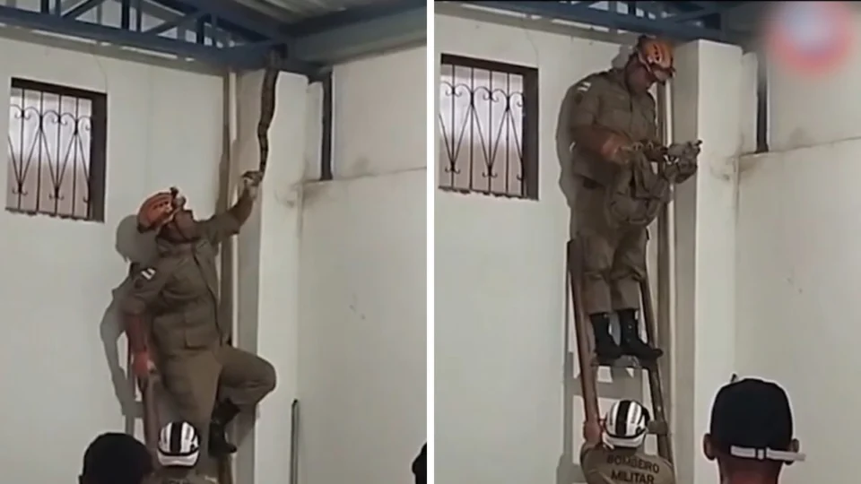 Jiboia é encontrada no telhado de shopping e mobiliza bombeiros em Manacapuru