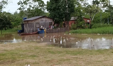 Rio Acre apresenta leve tendência de vazante e marca 15,31 metros nesta terça-feira na capital