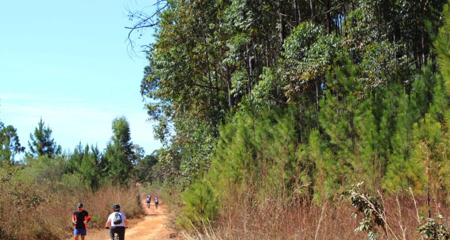 Floresta Nacional (Flona) de Brasília