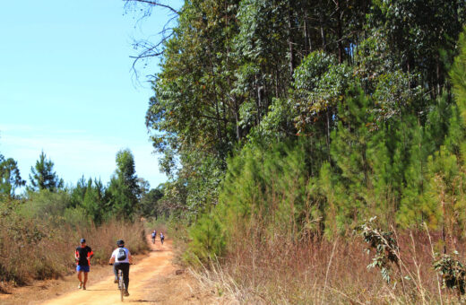 Floresta Nacional (Flona) de Brasília