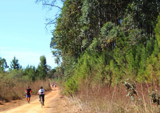 Floresta Nacional (Flona) de Brasília