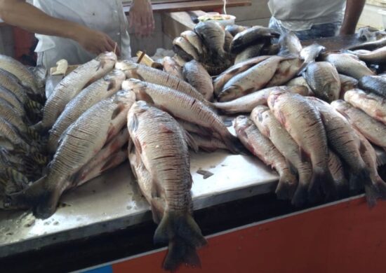 Acordos de pesca regulam o uso desses recursos naturais - Foto: Ana Kelly Franco/Portal Norte