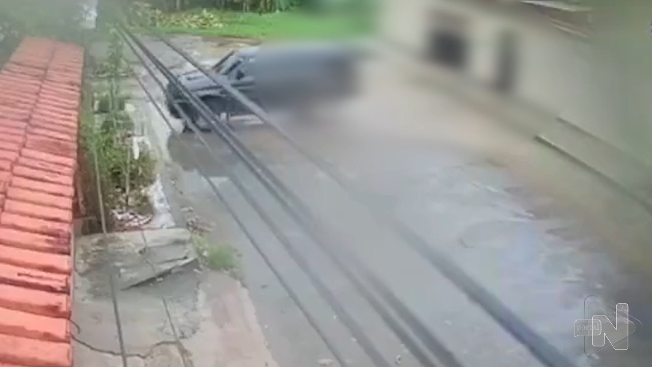 Cadela atropelado em frente de garagem em Manaus