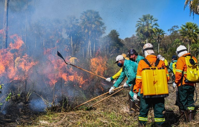 Queimadas nos biomas brasileiros são por ação humana, revela pesquisa Foto: Reprodução/SOS Pantanal