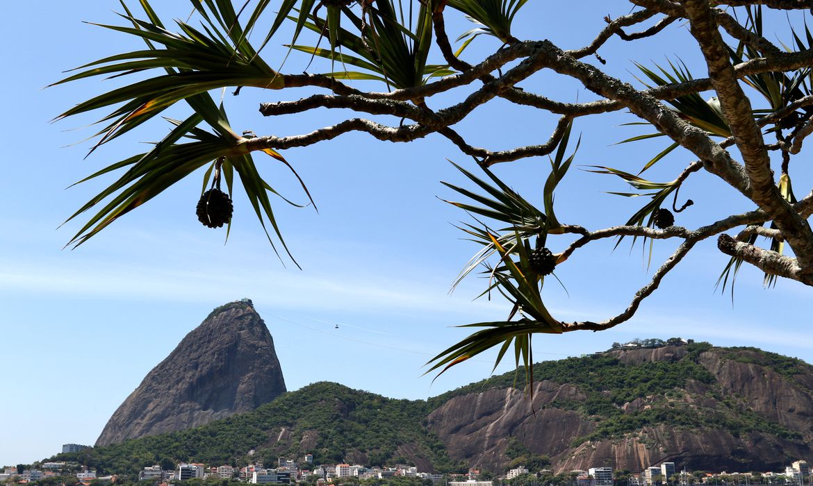 O Parque Bondinho do Pão de Açúcar completa nesta quinta-feira (27) 110 anos - Foto: Tânia Rêgo/Agência Brasil