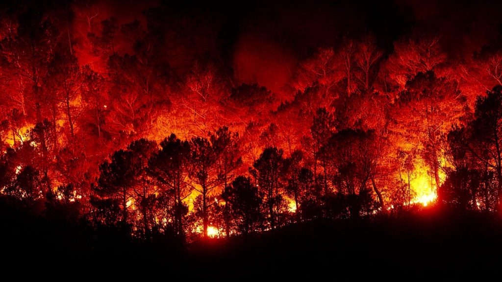 Humanidade testemunha mudanças climáticas entre 2021 e 2022, revela CSI