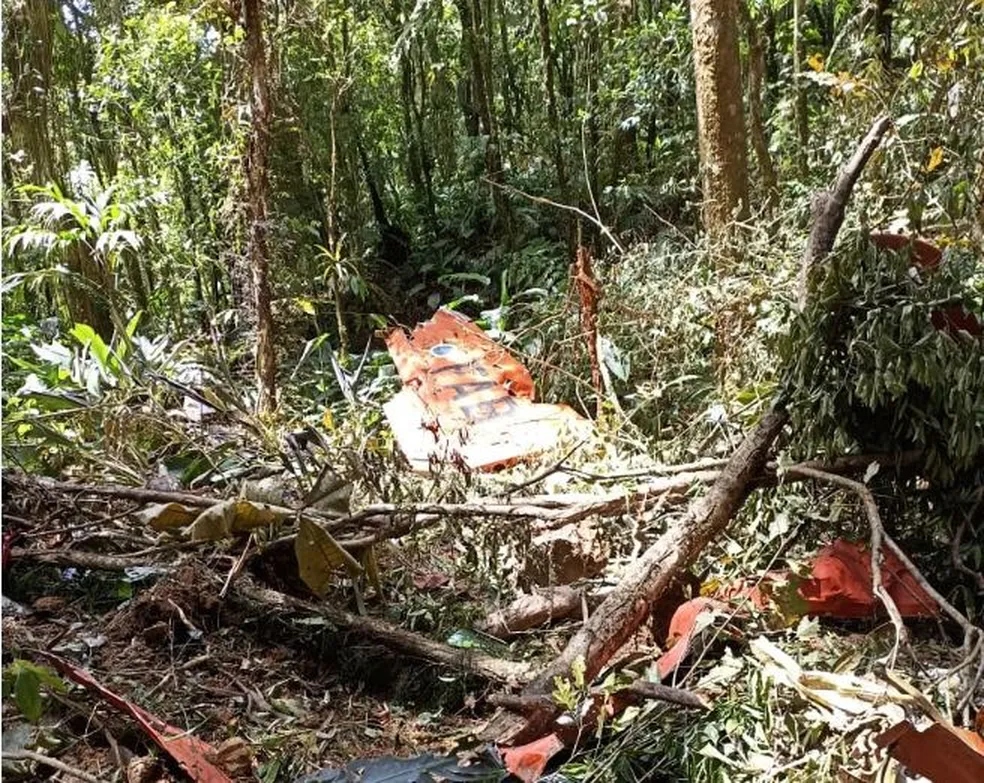 Avião da FAB foi encontrado em área de mata de Canelinha - Foto: Prefeitura de Canelinha/Divulgação