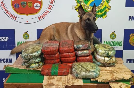 Cão farejador encontrou drogas em um fundo da carroceria de uma moto - Foto: Divulgação/SSP-AM