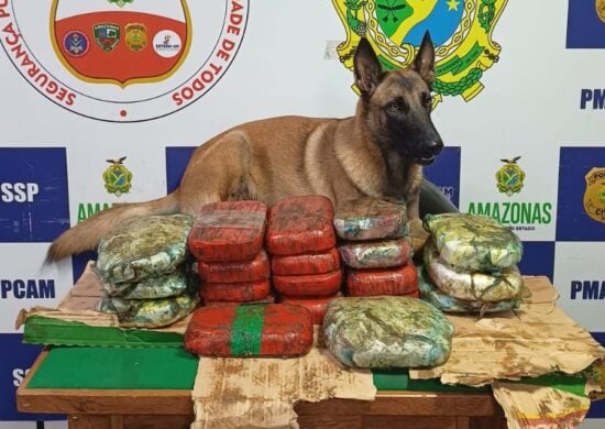 Cão farejador encontrou drogas em um fundo da carroceria de uma moto - Foto: Divulgação/SSP-AM