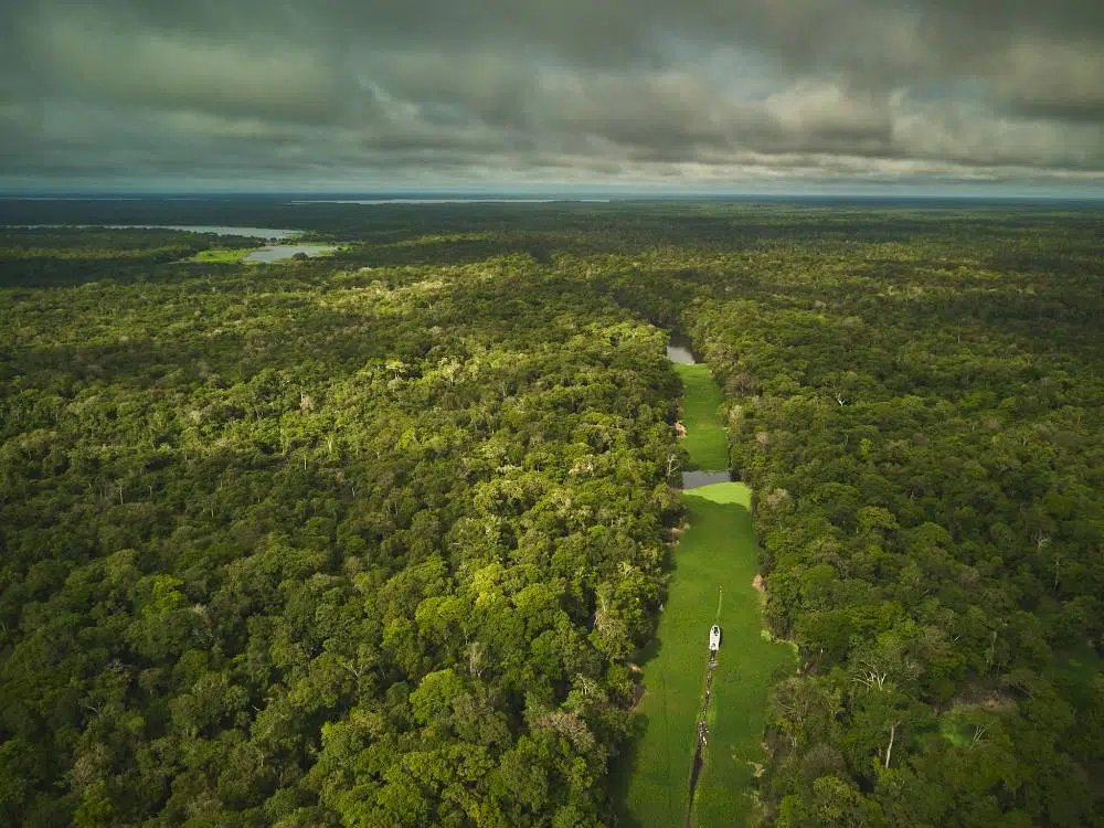 Pesquisa aponta que desgaste do bioma amazônico pode se tornar irreversível