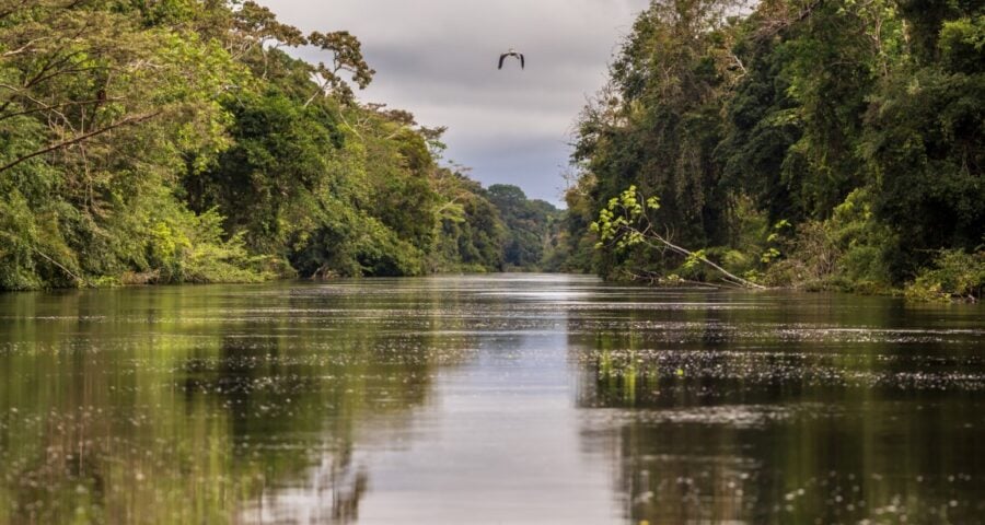 Chamada Pública é destinada para instituições interessadas em desenvolver projetos voltados aos serviços ambientais no Estado - Foto: Divulgação/Sema