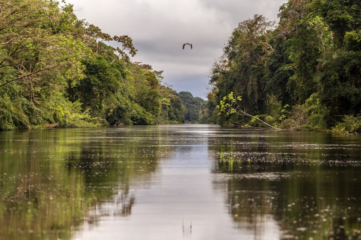 Chamada Pública é destinada para instituições interessadas em desenvolver projetos voltados aos serviços ambientais no Estado - Foto: Divulgação/Sema