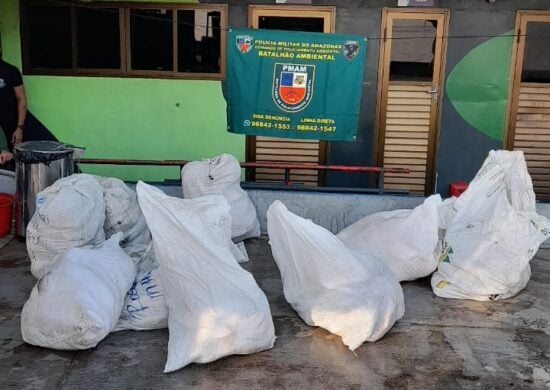 Pescado ilegal e carne de quelônios foram levados para Base Arpão - Foto: Divulgação/SSP-AM