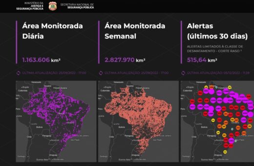 Monitoramento de crimes ambientais no Brasil - Foto: Reprodução/PF