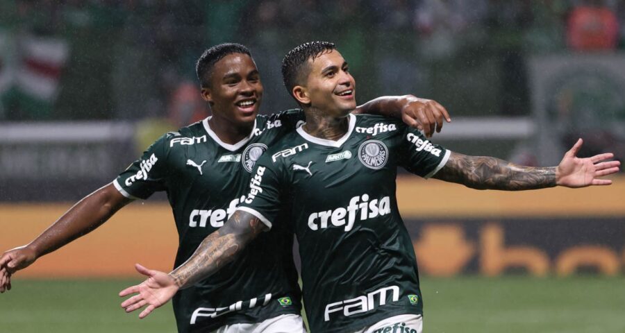 Dudu tem 30 anos e está no clube desde o início de 2015 - Foto: Reprodução/Twitter @avantipalmeiras