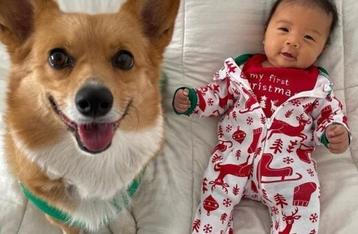 Cachorro Lilo e o bebê Koa posam para foto - Foto: Reprodução/Instagram @aircorg