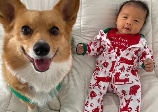 Cachorro Lilo e o bebê Koa posam para foto - Foto: Reprodução/Instagram @aircorg