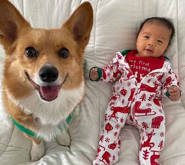 Cachorro Lilo e o bebê Koa posam para foto - Foto: Reprodução/Instagram @aircorg