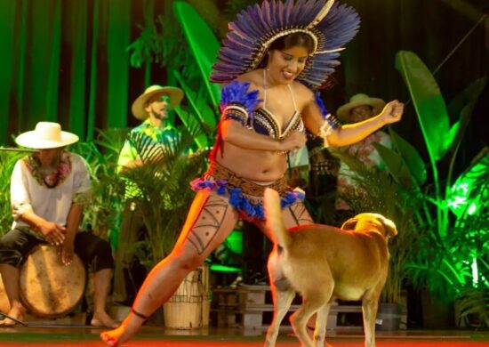 Cão caramelo invadiu palco e viralizou nas redes sociais - Foto: Reprodução/Instagram @cintia_kateuscia