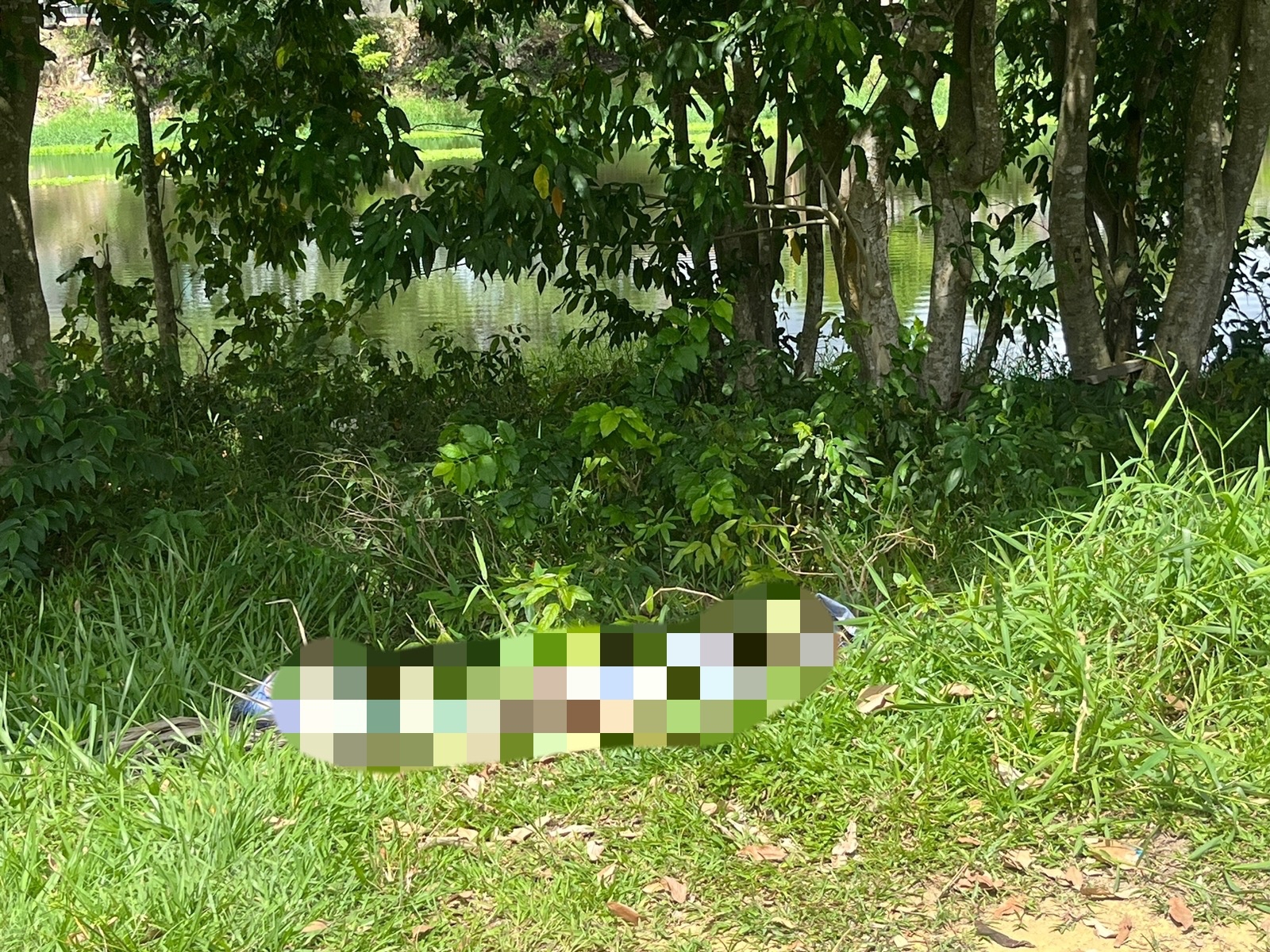 Corpo com marcas de tiros foi encontrado em área de mata - Foto: Reprodução/WhatsApp