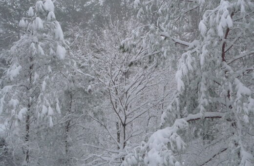 Estado de Nova York é um dos mais afetados com tempestade de inverno nos EUA - Foto: Reprodução/Creative Commons