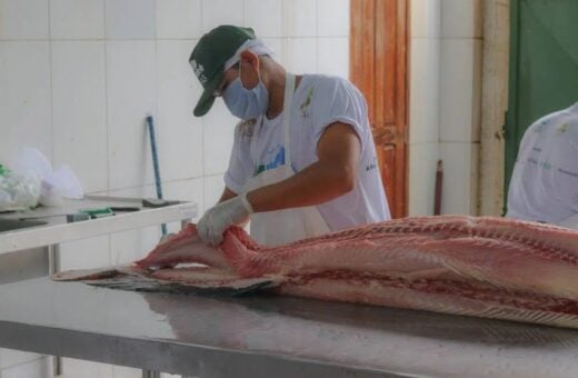 Feira do Pirarucu e tambaqui em Manaus