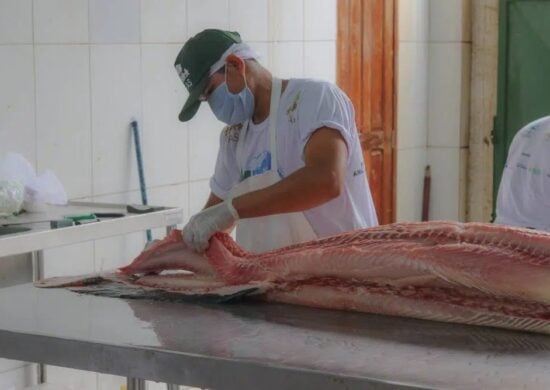 Feira do Pirarucu e tambaqui em Manaus