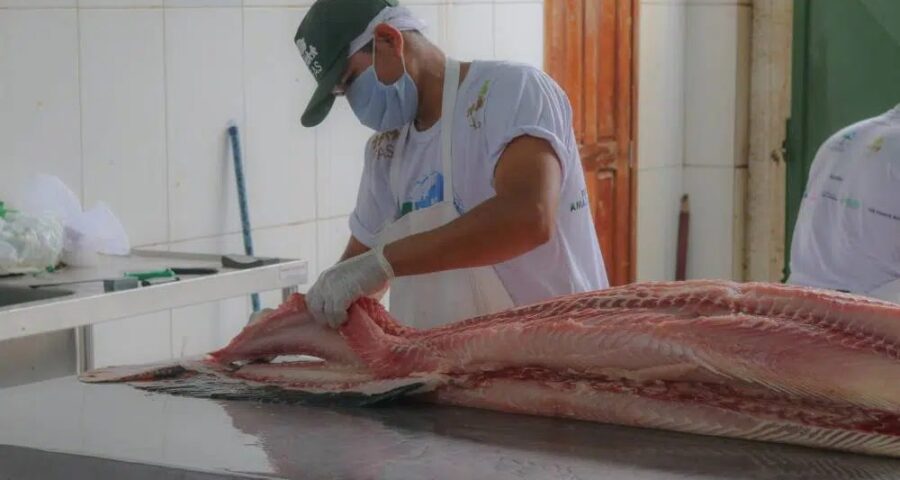 Feira do Pirarucu e tambaqui em Manaus