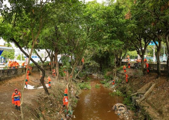 Limpeza de igarapés ocorre de forma preventiva para evitar transtornos no período da chuva - Foto: Antônio Pereira/Semcom