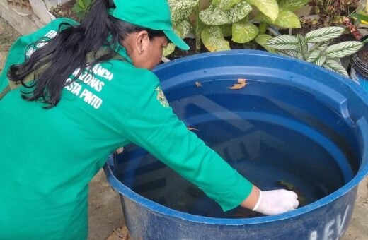 Mosquito Aedes aegypti é transmissor das doenças dengue, zika e chikungunya - Foto: Divulgação/FVS-AM