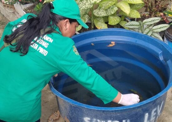 Mosquito Aedes aegypti é transmissor das doenças dengue, zika e chikungunya - Foto: Divulgação/FVS-AM