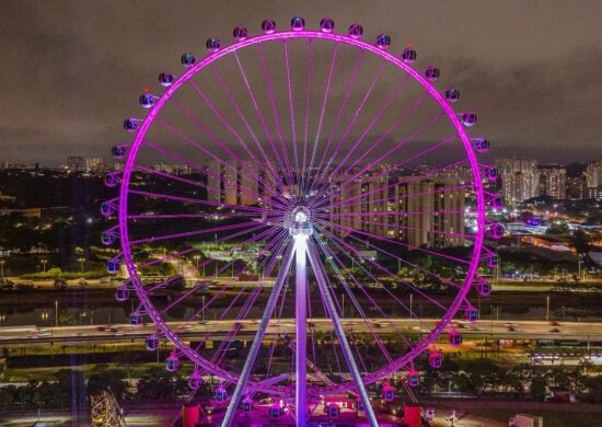 O valor mais baixo dos ingressos é de R$ 50, com meia-entrada a R$ 25, nos dias úteis - Foto: Reprodução/Instagram@rodarico roda-gigante